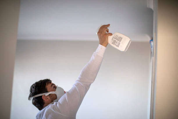 Best Emergency Mold Removal  in Vancouver, WA