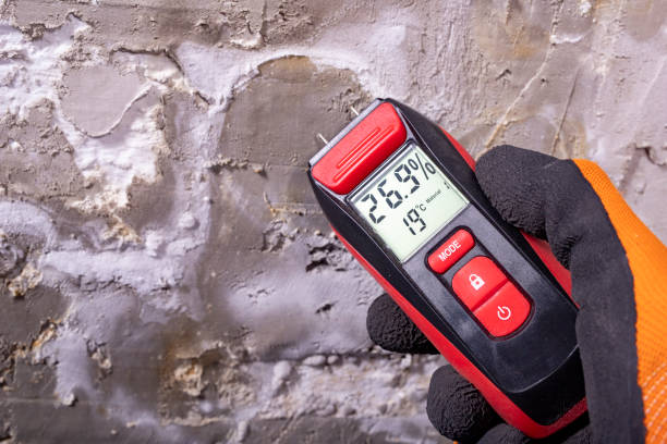 Best Commercial Mold Removal  in Vancouver, WA