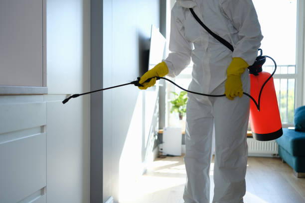 Best Mold Remediation  in Vancouver, WA