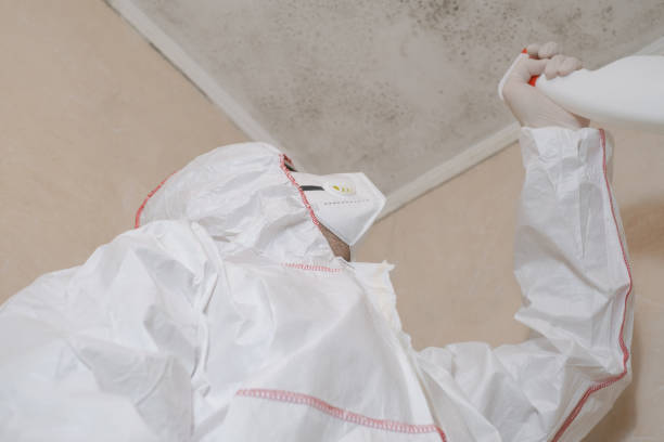 Best Office Mold Removal Services  in Vancouver, WA