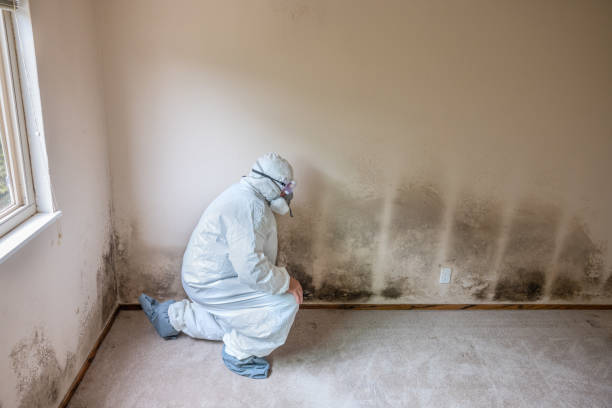 Crawl Space Mold Removal in Vancouver, WA