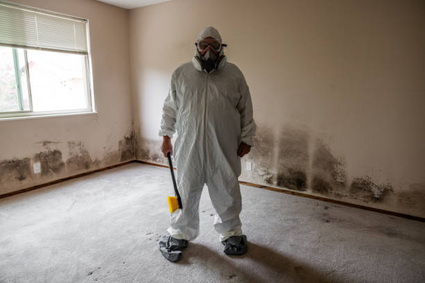 Best Mold Testing  in Vancouver, WA