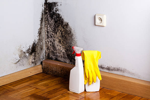 Best Mold Testing  in Vancouver, WA