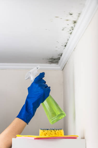 Best Professional Mold Removal  in Vancouver, WA